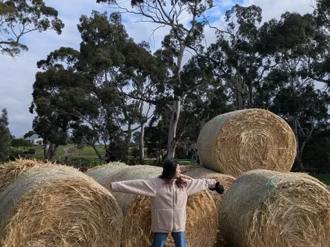 A woman in a cream jacket standing with her arms spread between stacked round hay bales.