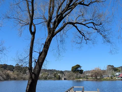 A bare-branched tree beside a small wooden jetty on Lake Daylesford, under a clear blue sky.